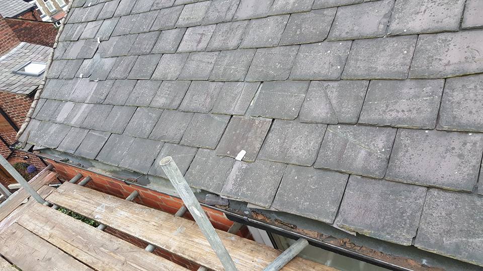 Potential Roof Issues